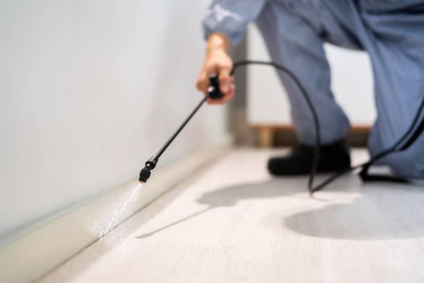 Licensed Ant Control service in Lincoln County County, OR - Nex Pest Control