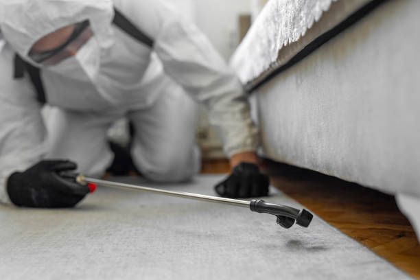 Professional Ant Control technician working in Lincoln County County, OR